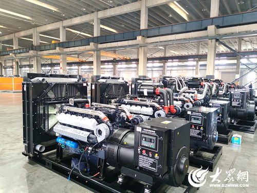 府東街點(diǎn)題，菏澤交出重點(diǎn)項(xiàng)目突破答案——生物質(zhì)成型燃料銷售領(lǐng)航綠色發(fā)展